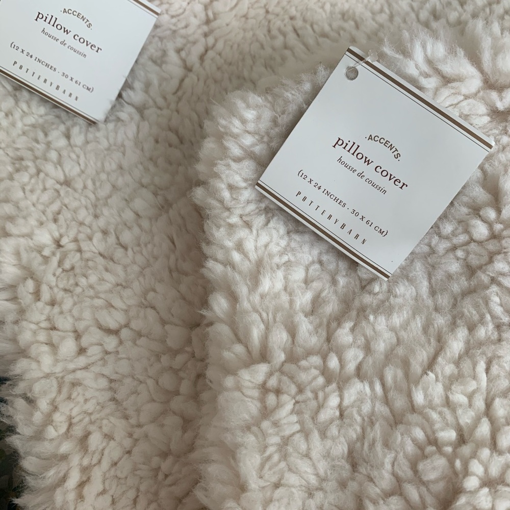 Pottery Barn pillow covers - Picture 2 of 2